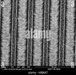 Nanofils, Nanowalls, SEM Banque D'Images