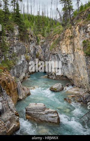 Le Canyon Marble Falls, parc national de Kootenay en Colombie-Britannique, Canada Banque D'Images