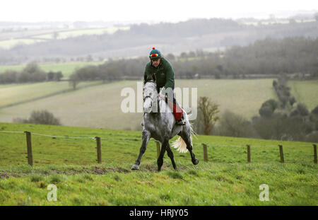 Bristol de mai sur les galops au cours d'une visite à Nigel Twiston-Davies d'équitation à Grange Hill Farm, Cheltenham. Banque D'Images