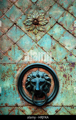 Bouton décoratif tête de lion doré et knocker sur la vieille porte de métal avec des marques de corrosion Banque D'Images