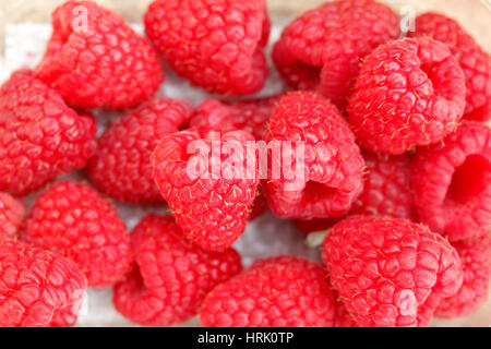 Framboises. Banque D'Images