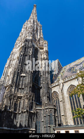 Stephansdom. La flèche de la cathédrale St Stephen, Innere Stadt, Vienne, Autriche Banque D'Images