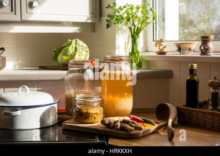 Cuisine bio. l'eau du kéfir, choucroute, kimchi, gingembre, curcuma, piment, chou, tomates, citrons, l'ail, pamplemousse. bonebroth Banque D'Images