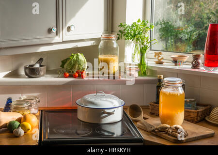 Cuisine bio. l'eau du kéfir, choucroute, kimchi, gingembre, curcuma, piment, chou, tomates, citrons, l'ail, pamplemousse. bonebroth Banque D'Images