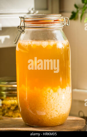 Le kéfir d'eau faits maison et de la choucroute, des prébiotiques et probiotiques qui favorisent la santé des intestins et améliorer le système immunitaire. avec des légumes biologiques Banque D'Images