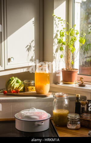 Le kéfir d'eau faits maison et de la choucroute, des prébiotiques et probiotiques qui favorisent la santé des intestins et améliorer le système immunitaire. avec des légumes biologiques Banque D'Images