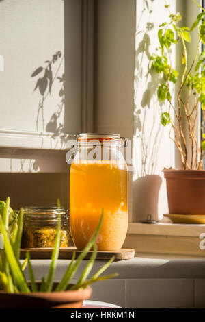 Le kéfir d'eau faits maison et de la choucroute, des prébiotiques et probiotiques qui favorisent la santé des intestins et améliorer le système immunitaire. avec des légumes biologiques Banque D'Images