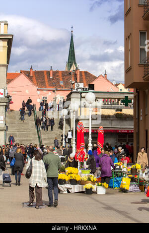 ZAGREB, CROATIE - 28 février 2017 : Splavnica, célèbre marché aux fleurs placé entre la place Ban Jelacic et Dolac marché. Banque D'Images