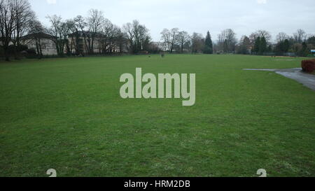 Champ d'herbe dans un parc urbain sur un sombre jour, UK Banque D'Images