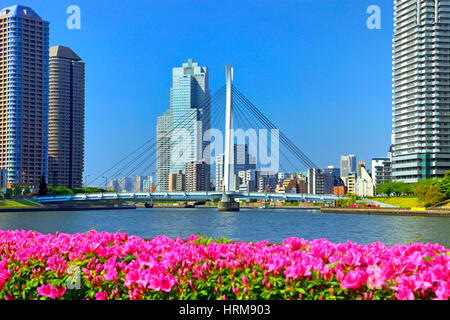 River City 21 vue depuis la rivière Sumida Tokyo Japon Banque D'Images