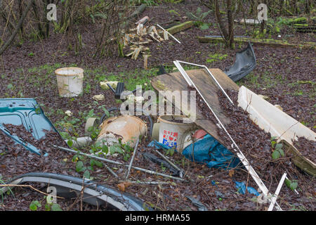 Les ordures ménagères à pointe de voler dans un coin de forêt. Un exemple de la pollution de l'environnement, les décharges sauvages. Banque D'Images