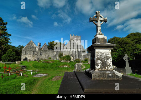 Mystic ruine de l'abbaye de Muckross, Killarney, Irlande Banque D'Images