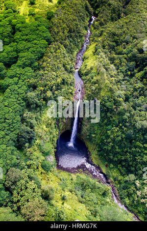 Vue aérienne de l'Akaka Falls sur Big Island, Hawaii, USA. Banque D'Images