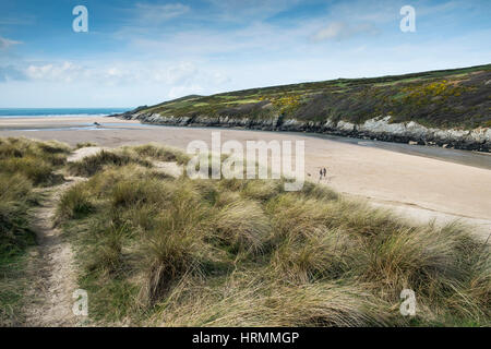 Dunes de sable de plage de Crantock Ammophile Estuaire Gannel Newquay Cornwall England UK Banque D'Images