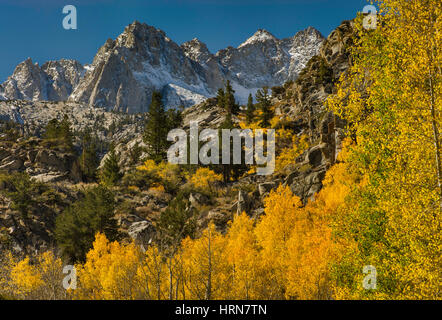 Photo montage Pic Haeckel, mont Wallace, feuillage d'automne dans le lac du bassin dans la région de Sabrina Evolution, John Muir Wilderness, Sierra Nevada, en Californie Banque D'Images