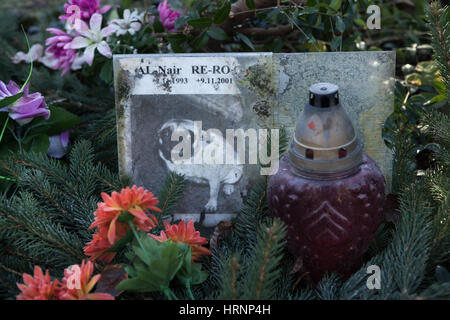 Cimetière pour animaux abandonnés à Prague, République tchèque. Les seuls animaux à Prague cimetière situé dans le district de Bohnice est abandonné depuis plus de dix ans. La dernière inhumation a lieu ici avant janvier 2007 lorsque de nouveaux enterrements ont été interdits par les autorités locales en raison du manque de clarté des droits de propriété pour les terres. Banque D'Images