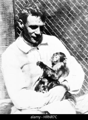 Howard Taylor Ricketts, bactériologiste américain et le pathologiste Banque D'Images