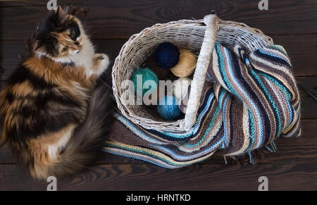 Écharpe en laine tricoté et de fils des balles dans un panier en osier sur une surface en bois. À proximité se trouve fluffy cat Banque D'Images