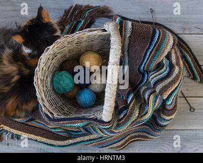 Écharpe en laine tricoté et de fils des balles dans un panier en osier sur une surface en bois. À proximité se trouve fluffy cat Banque D'Images