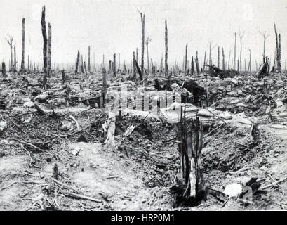 La première guerre mondiale, la bataille de Messines Ridge, 1917 Banque D'Images