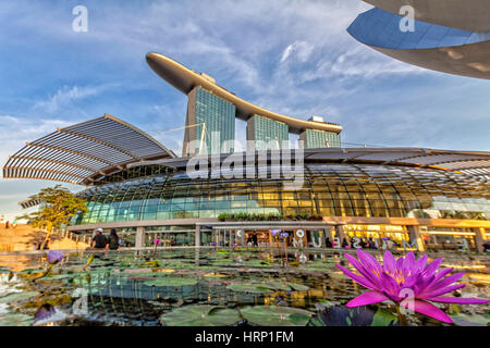 Fleur de Lotus en face du centre commercial Shoppes, l'Étang Fleur, Mall, Marina Bay Sands Hotel, Singapour, Asie, Singapour Banque D'Images