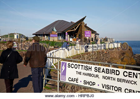 Scottish Seabird Centre, North Berwick en Écosse Banque D'Images