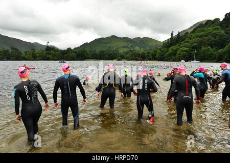 Nager en eau libre Ullswater, Lake District UK Banque D'Images
