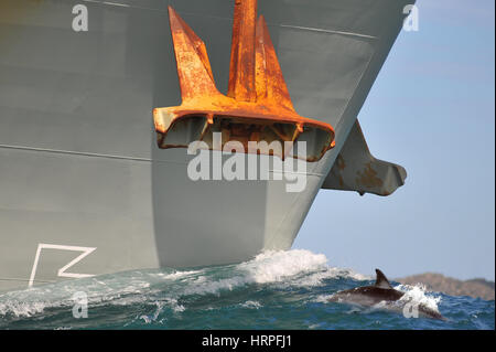 De près de l'arc et l'ancre d'un navire de guerre en mer avec dauphin en sa proue. Banque D'Images