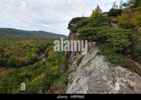 Photo de l'horizontale grande rivière serpentant à travers la forêt épaisse à Porcupine Mountains State Park dans la Péninsule Supérieure du Michigan à l'automne. Banque D'Images