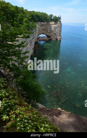 Shot verticale d'une formation rock avec un arc et des fleurs au premier plan. L'eau est un bleu-vert, il est clair et calme, les roches visibles. Banque D'Images