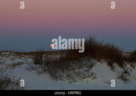 Lune qui s'élève au-dessus de dunes de sable au coucher du soleil sur le Gulf Islands National Seashore Banque D'Images