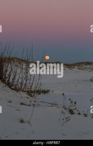 Lune qui s'élève au-dessus de dunes de sable au coucher du soleil sur le Gulf Islands National Seashore Banque D'Images