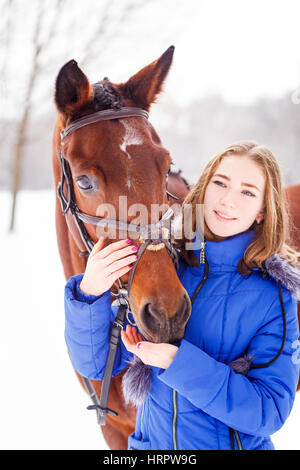 Alimentation adolescente bay horse sur champ d'hiver. Image concept d'amitié Banque D'Images