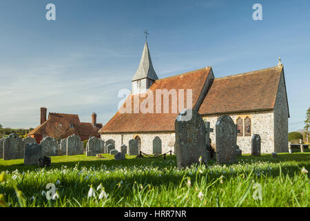 Au début du printemps au Eartham, West Sussex, Angleterre. Banque D'Images