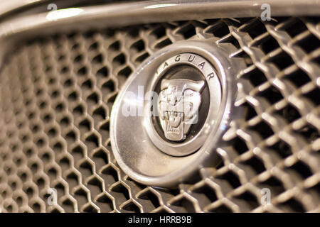 ABU DHABI, UAE - NOV 26, 2016 : Jaguar logo de l'entreprise sur une voiture éclairée la nuit Banque D'Images