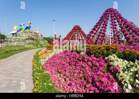 Dubaï, Émirats arabes unis - 27 nov., 2016 : Perroquets au Miracle Garden à Dubaï. Emirats Arabes Unis, Moyen Orient Banque D'Images