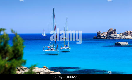 La voile bateaux amarrés dans la baie, l'Île Cavallo, Corse, France Banque D'Images