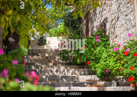 Vieille rue traditionnelle dans Lofou village. Limassol District. Chypre Banque D'Images