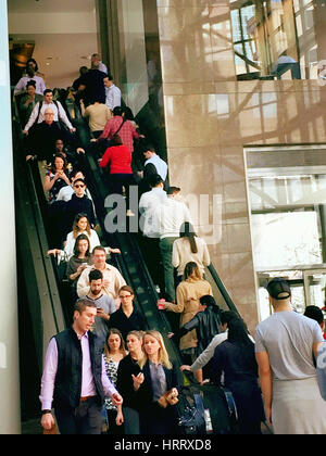 Escaliers mécaniques dans le jardin d'hiver à Brookfield Place, NEW YORK, USA Banque D'Images