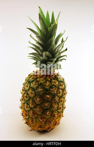 Ananas mûrs isoler fond blanc Banque D'Images