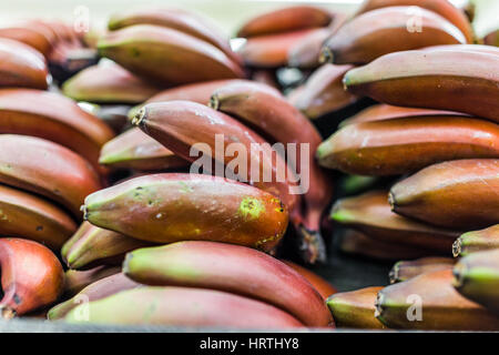 Gros plan macro de beaucoup de bananes rouges sur l'affichage Banque D'Images