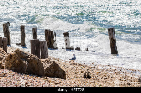 Roling océan sur une plage rocheuse avec des restes de pilotis qui le du sable Banque D'Images