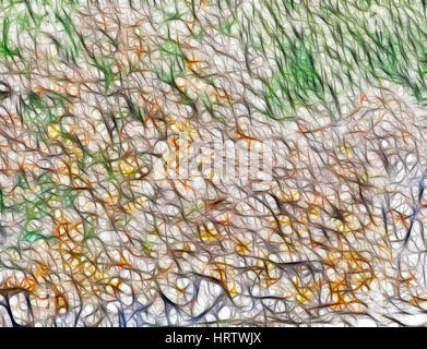 Résumé couleur illustration créée en utilisant les fractales. L'image ressemble à un réseau de neurones. Résumé fond coloré Banque D'Images