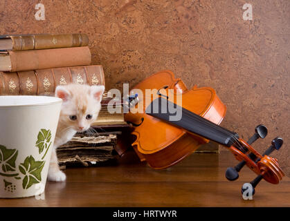 Petit Chaton sur une table avec un violon et des livres anciens Banque D'Images