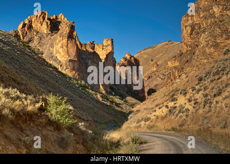 Des formations de roche volcanique de la rhyolite dans Leslie Gulch près de Valley Lake, acajou Mountain Caldera, High Desert Region, Oregon, USA Banque D'Images