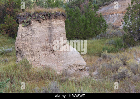 Cap rock, Parc National Theodore Roosevelt, ND, USA Banque D'Images