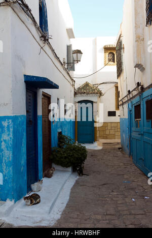 Rue étroite dans la Kasbah des Udayas, Rabat, Maroc Banque D'Images