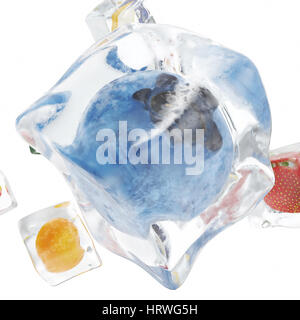 Les fruits congelés dans ice cube, ice cube en vue de face, seul glaçon isolé sur fond blanc, 3D Rendering Banque D'Images