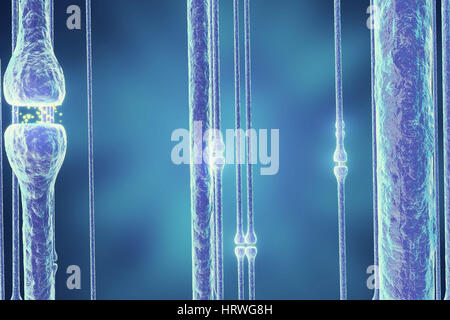 Les signaux de transmission des neurones dans la tête sur fond bleu. Synapse. Le rendu 3D Banque D'Images