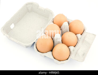 Six oeufs de poule dans un carton ouvert isolé sur blanc. Banque D'Images